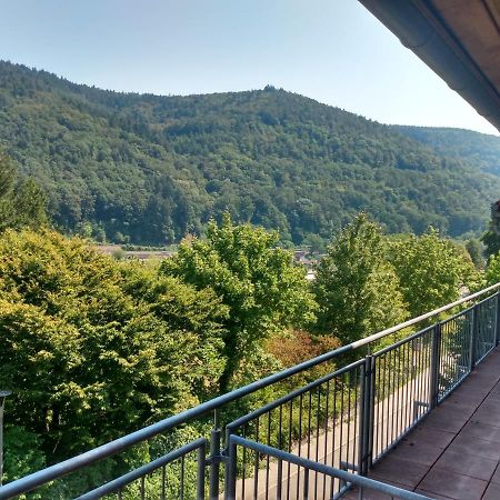 Hotel Zum Neckartal Heidelberg Exteriér fotografie