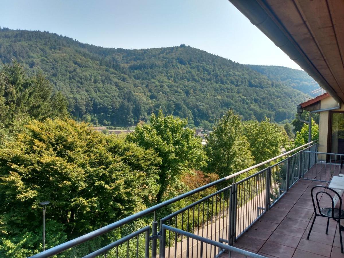 Hotel Zum Neckartal Heidelberg Exteriér fotografie
